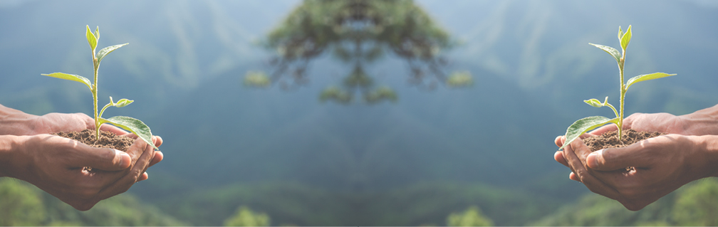 STF Pretensão por reparação civil por danos ambientais é imprescritível