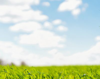 Banco Central do Brasil altera as exigências socioambientais para a concessão de crédito rural