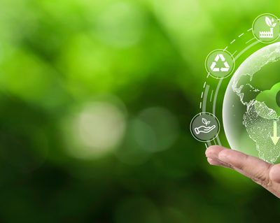 Publicação da Lei n.º 15.0422024 e o Novo Mercado de Créditos de Carbono no Brasil